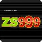 ZS999 GAME