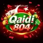 Qaida 804 Game